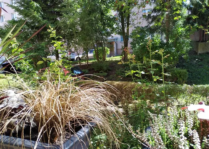 Apartament Skrytka